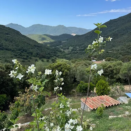 Дом отдыха Inseme, Le Calme Entre Et Montagne En Corse Arbellara