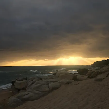 Inseme, Le Calme Entre Et Montagne En Corse Дом отдыха Arbellara