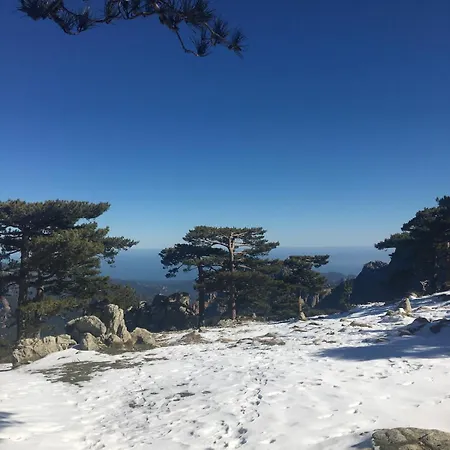 Inseme, Le Calme Entre Et Montagne En Corse * Arbellara